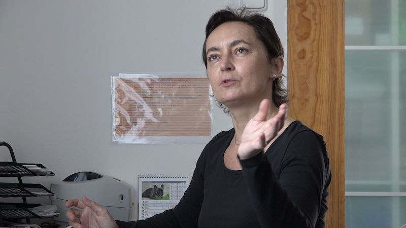 Viroložka Soňa Peková: Letos do zahraničí nejezděte